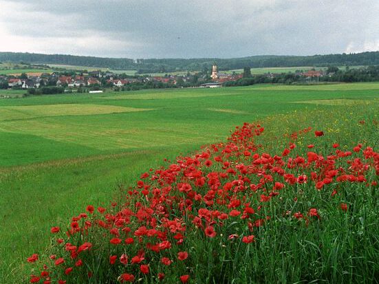 Nord-Ost-Umgehung Usingen